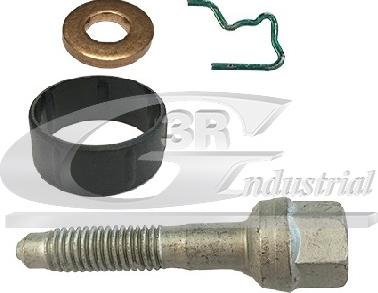 3RG 86273 - Комплект прокладок, форсунка autospares.lv