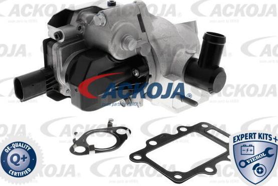 ACKOJA A52-63-0016 - Клапан возврата ОГ autospares.lv