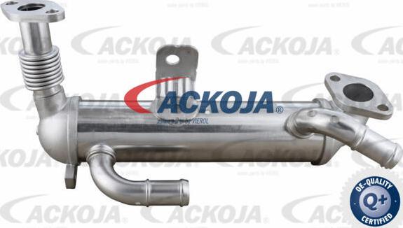 ACKOJA A52-63-0034 - Радиатор, рециркуляция ОГ autospares.lv