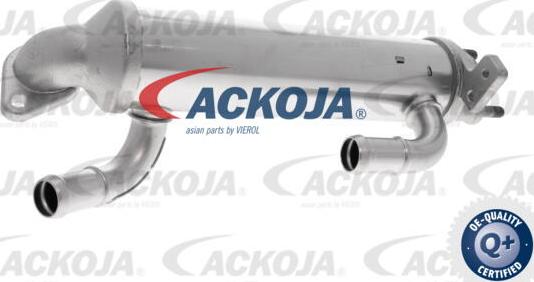 ACKOJA A52-63-0036 - Радиатор, рециркуляция ОГ autospares.lv