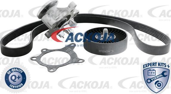 ACKOJA A52-0207 - Поликлиновый ременный комплект autospares.lv