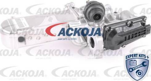 ACKOJA A64-63-0001 - Клапан возврата ОГ autospares.lv