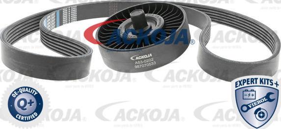 ACKOJAP A53-0202 - Поликлиновый ременный комплект autospares.lv