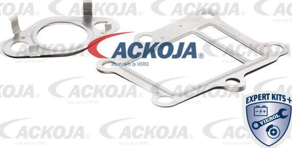 ACKOJAP A52-63-9013 - Комплект прокладок, AGR-система autospares.lv