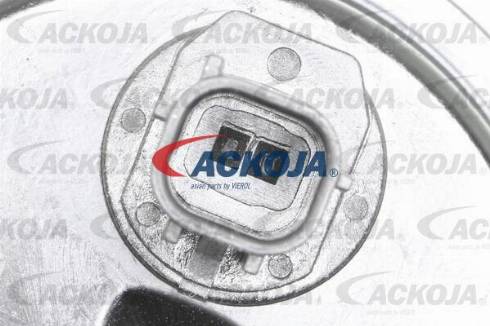 ACKOJAP A52-0204 - Комплект зубчатого ремня ГРМ autospares.lv