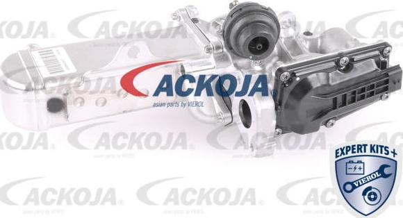 ACKOJAP A64-63-0001 - Клапан возврата ОГ autospares.lv