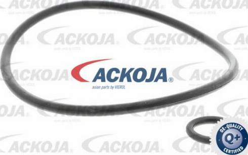 ACKOJAP A37-1151 - Тяга / стойка, стабилизатор autospares.lv