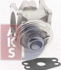 AKS Dasis 045153N - Клапан возврата ОГ autospares.lv