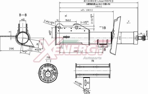 AP XENERGY X418339 - Амортизатор autospares.lv