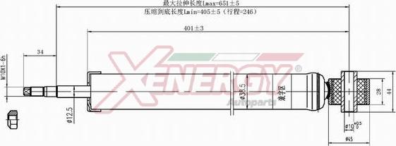 AP XENERGY X438343 - Амортизатор autospares.lv