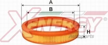 AP XENERGY X159324 - Воздушный фильтр, двигатель autospares.lv