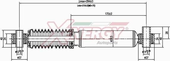 AP XENERGY X101341 - Амортизатор autospares.lv