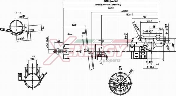 AP XENERGY X8041334 - Амортизатор autospares.lv