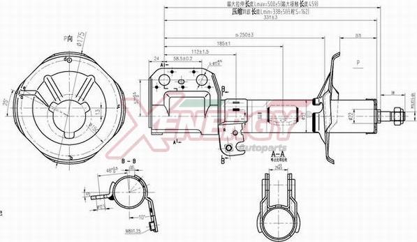 AP XENERGY X832334 - Амортизатор autospares.lv