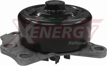 AP XENERGY X205842 - Водяной насос autospares.lv