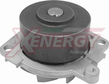 AP XENERGY X200980 - Водяной насос autospares.lv