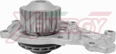 AP XENERGY X202942 - Водяной насос autospares.lv