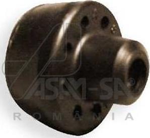 ASAM 30376 - Подвеска, радиатор autospares.lv