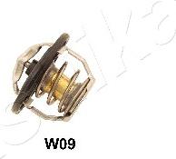 Ashika 38-0W-W09 - Термостат охлаждающей жидкости / корпус autospares.lv