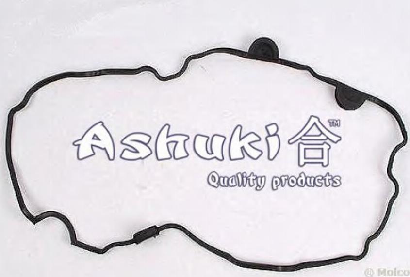 Ashuki 0366-6404 - Прокладка, крышка головки цилиндра autospares.lv