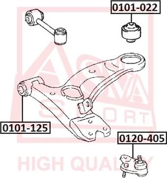 ASVA 0101-125 - Сайлентблок, рычаг подвески колеса autospares.lv