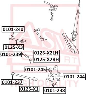 ASVA 0101-240 - Сайлентблок, рычаг подвески колеса autospares.lv