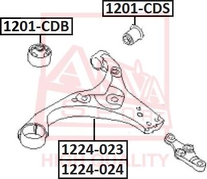 ASVA 1201-CDS - Сайлентблок, рычаг подвески колеса autospares.lv