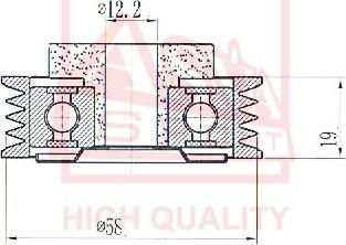 ASVA SZBP-009 - Ролик натяжителя, клиновой ремень autospares.lv