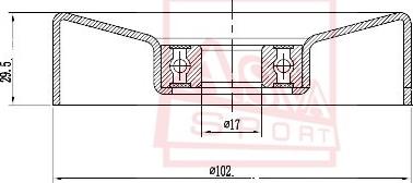 ASVA TYBP-030 - Ролик натяжителя, клиновой ремень autospares.lv