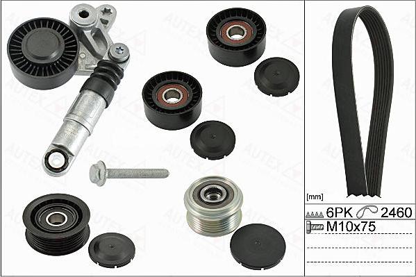 Autex 702880 - Поликлиновый ременный комплект autospares.lv