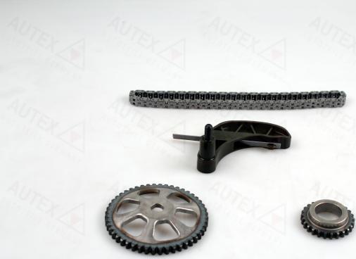 Autex 711384 - Комплект цепи, привод масляного насоса autospares.lv
