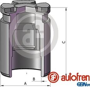 AUTOFREN SEINSA D025542 - Поршень, корпус скобы тормоза autospares.lv