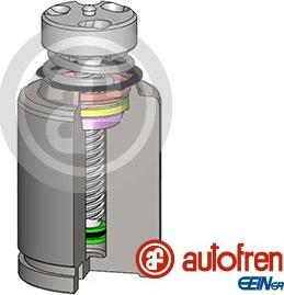 AUTOFREN SEINSA D025583LK - Поршень, корпус скобы тормоза autospares.lv