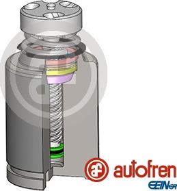 AUTOFREN SEINSA D025583RK - Поршень, корпус скобы тормоза autospares.lv