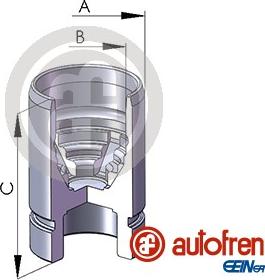 AUTOFREN SEINSA D02589 - Поршень, корпус скобы тормоза autospares.lv