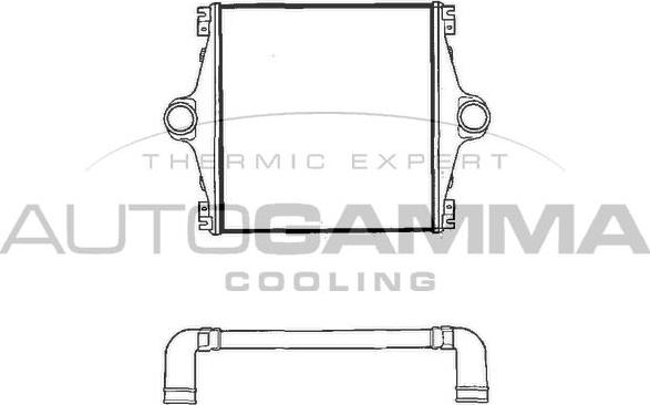 Autogamma 404202 - Интеркулер, теплообменник турбины autospares.lv