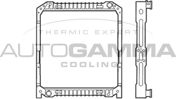 Autogamma 400290 - Радиатор, охлаждение двигателя autospares.lv