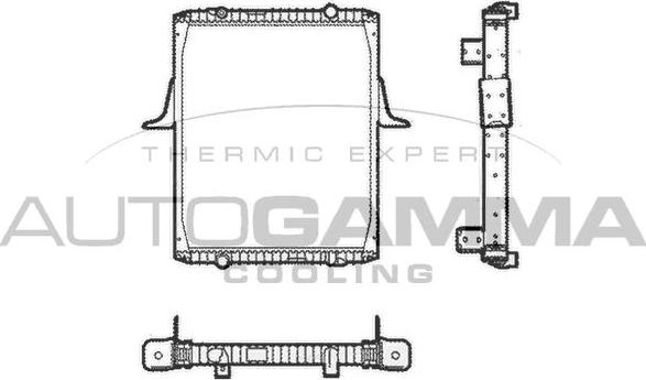 Autogamma 401022 - Радиатор, охлаждение двигателя autospares.lv