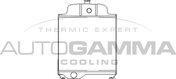 Autogamma 402582 - Радиатор, охлаждение двигателя autospares.lv