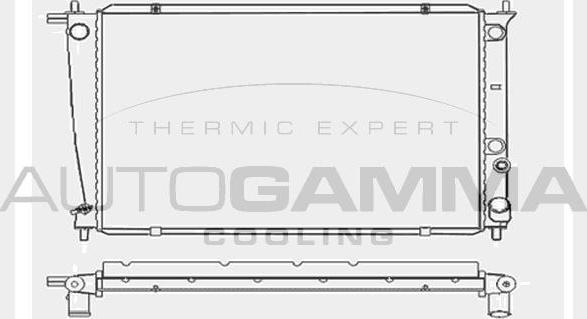 Autogamma 104046 - Радиатор, охлаждение двигателя autospares.lv