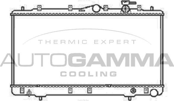 Autogamma 104063 - Радиатор, охлаждение двигателя autospares.lv