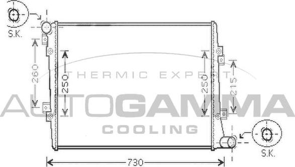Autogamma 104245 - Радиатор, охлаждение двигателя autospares.lv
