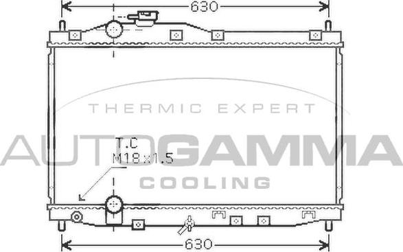 Autogamma 104265 - Радиатор, охлаждение двигателя autospares.lv