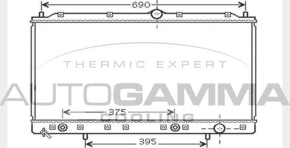 Autogamma 104287 - Радиатор, охлаждение двигателя autospares.lv