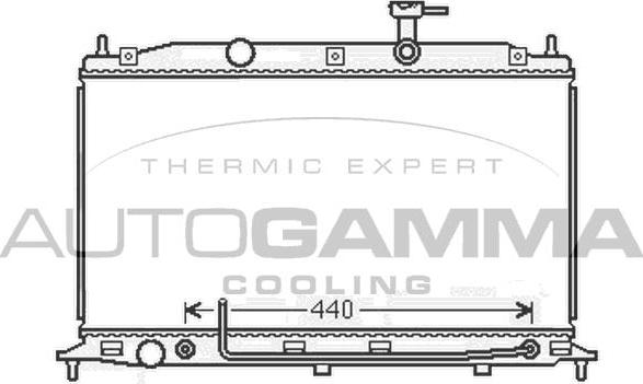 Autogamma 105919 - Радиатор, охлаждение двигателя autospares.lv