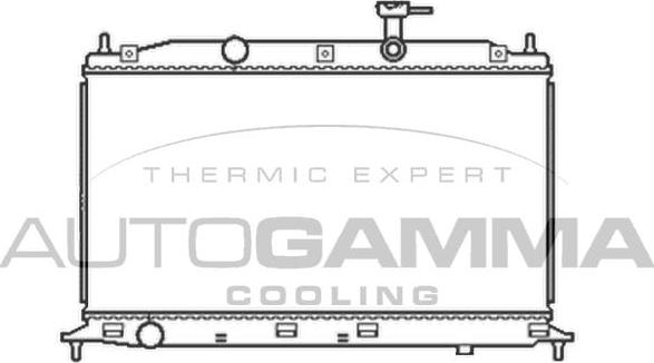 Autogamma 105046 - Радиатор, охлаждение двигателя autospares.lv