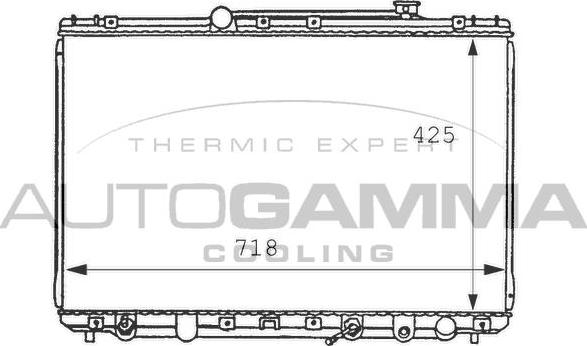 Autogamma 100992 - Радиатор, охлаждение двигателя autospares.lv