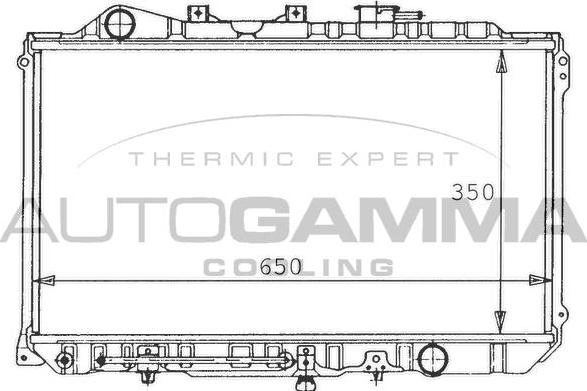 Autogamma 100496 - Радиатор, охлаждение двигателя autospares.lv