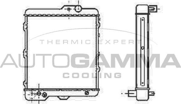 Autogamma 100042 - Радиатор, охлаждение двигателя autospares.lv