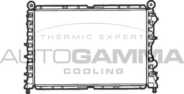 Autogamma 100010 - Радиатор, охлаждение двигателя autospares.lv